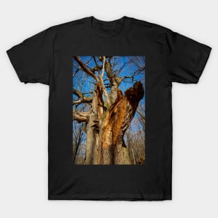 Huge oak tree T-Shirt